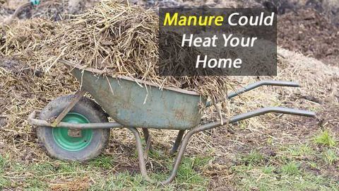 Manure Could Heat Your Home
