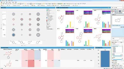 Targeting Your Best Clinical Candidate With Self Guided Data Discovery and Analysis