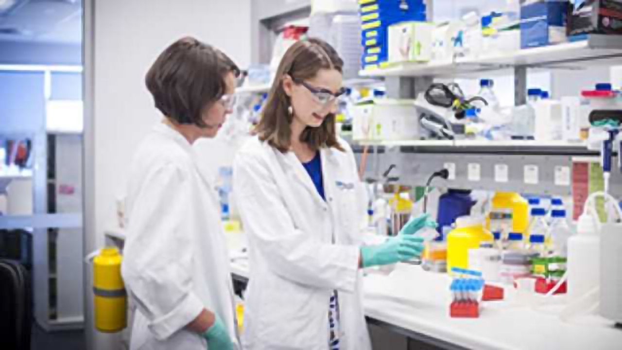 Cancer ‘Signature’ First Step Toward Blood Test for Patients