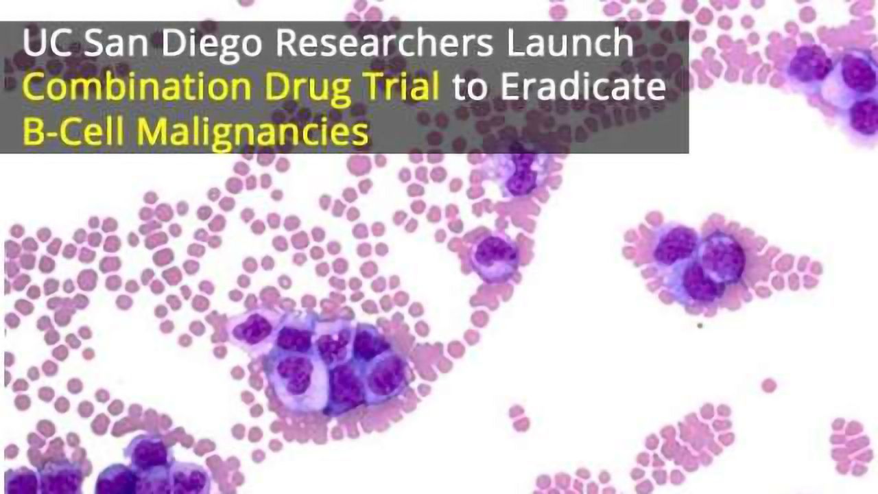 Combination Drug Trial Launched to Eradicate B-Cell Malignancies