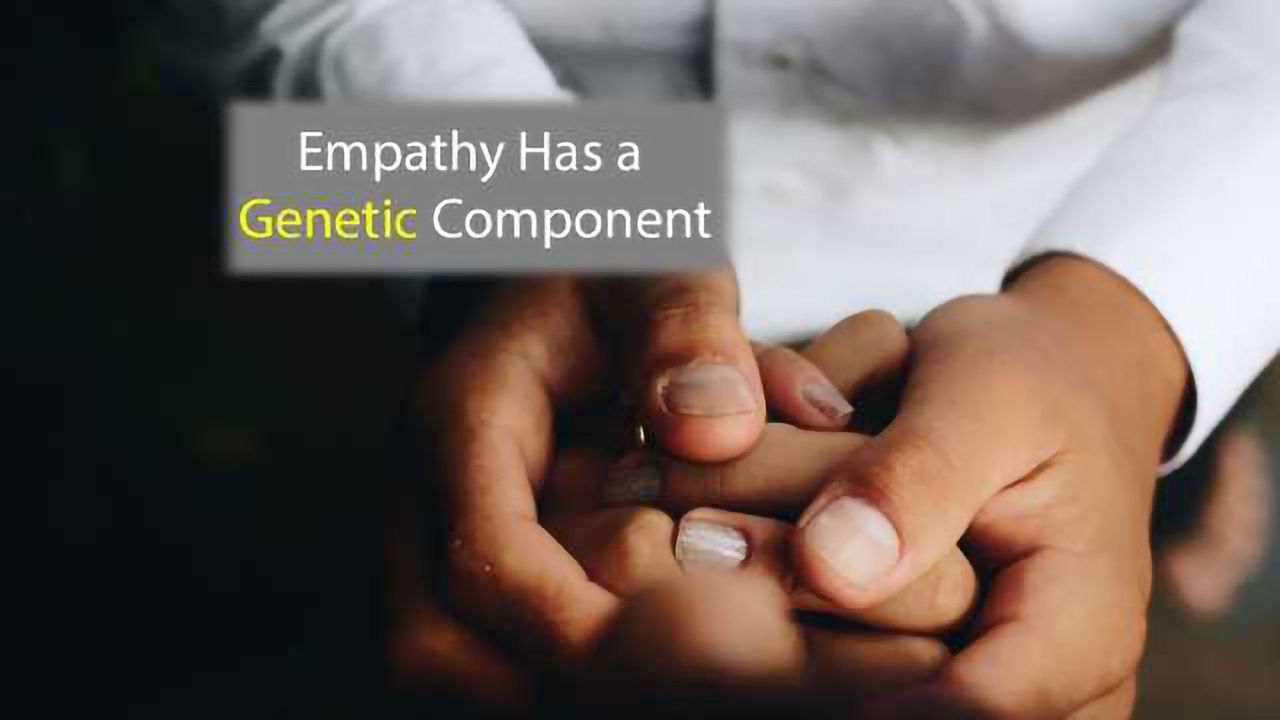 Your Empathy is Partly Genetic