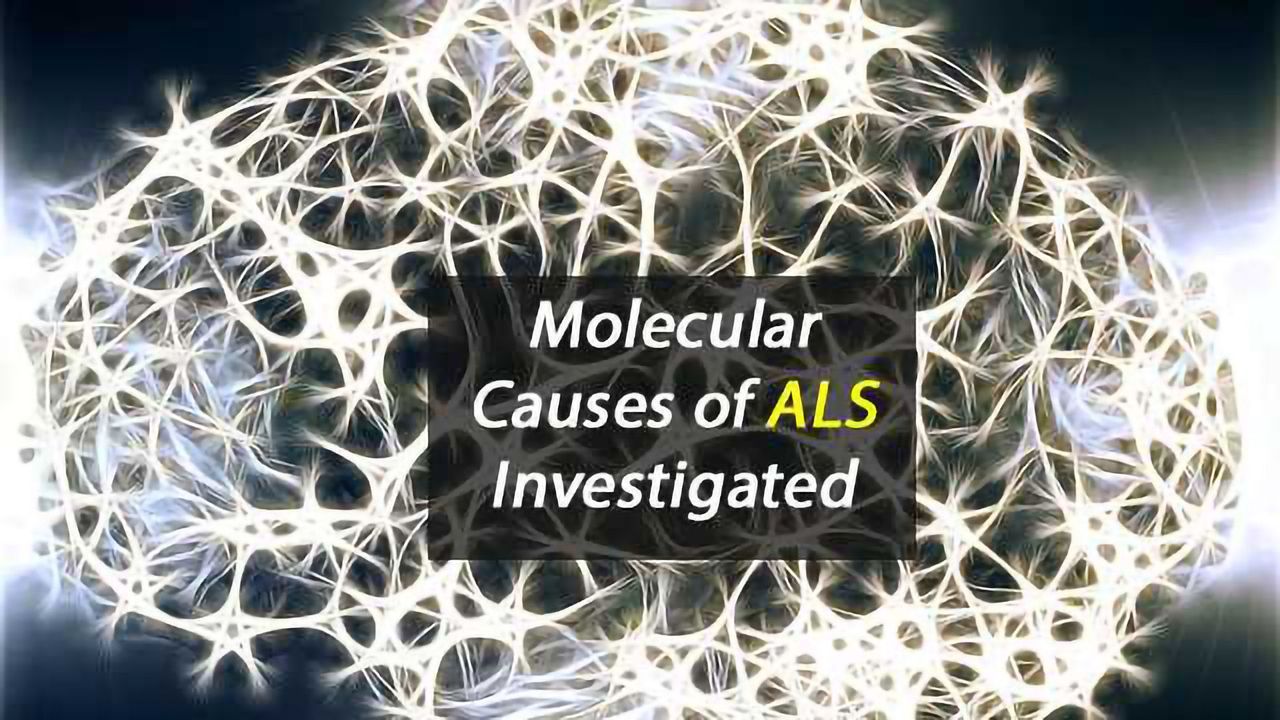 Understanding 'Disease Mechanisms' of ALS
