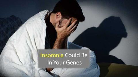 Can't Get to Sleep? Blame Your Genes