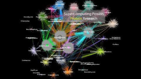 Living on the Edge: Supercomputing Powers Protein Analysis