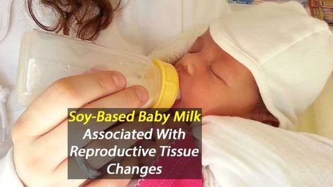 Babies Fed Soy-Based Formula Show Reproductive System Changes
