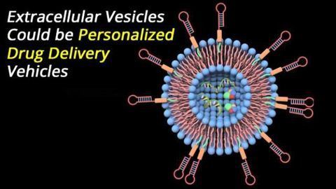 Could Extracellular Vesicles be Personalized Drug Delivery Vehicles?