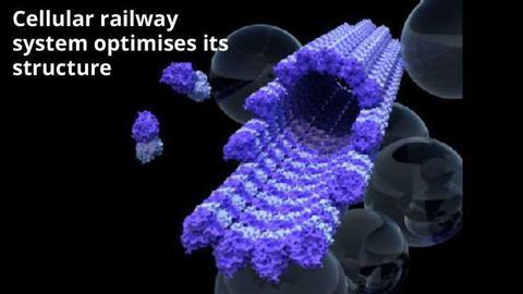 How To Build A Better Railway - In (Almost) Every Cell In Your Body
