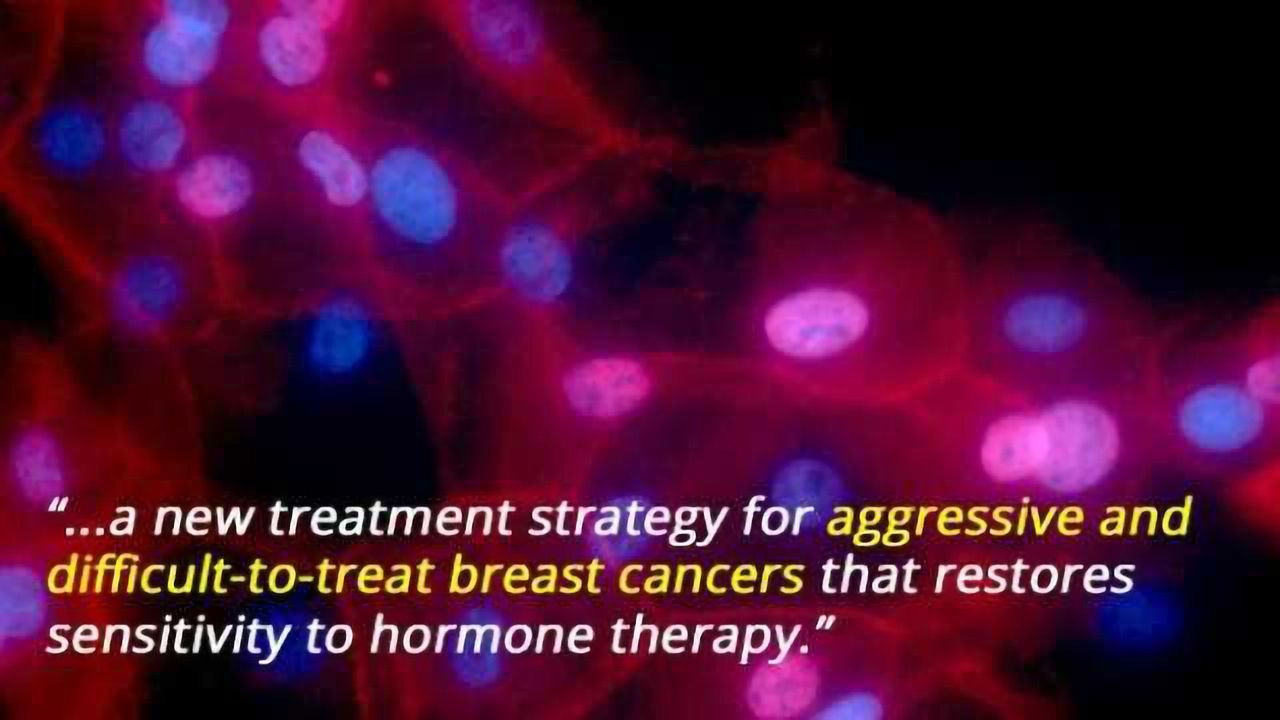 New Way to Treat Aggressive Breast Cancer