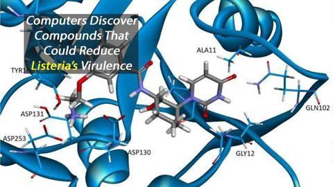 Computing Power Aids Fight Against Food Poisoning