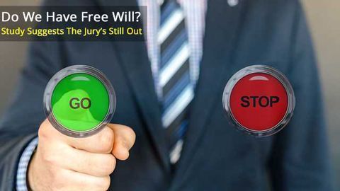 Does Neuroscience Study on 'Free Will' Have a Real Impact?