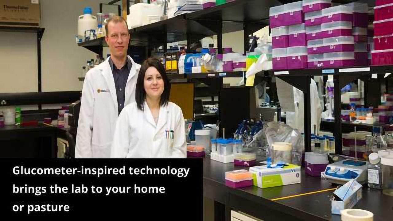 New Diagnostic Method Makes Testing for Infections Quick and Easy