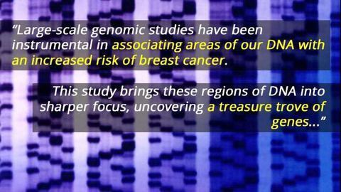 Treasure Trove of 110 Genes Linked to Breast Cancer