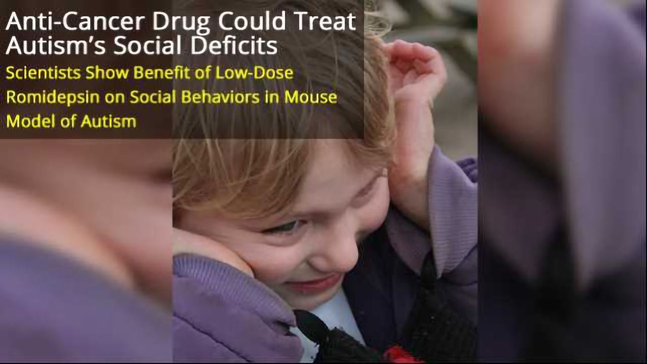 Anti-Cancer Drug Could Reverse Social Deficits of Autism