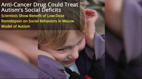 Anti-Cancer Drug Could Reverse Social Deficits of Autism
