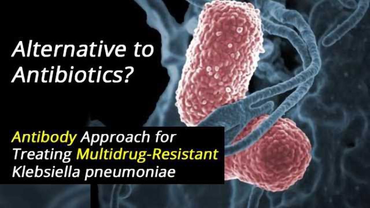 Alternative to Antibiotics: Antibody Approach for Treating Multidrug-Resistant Bacterial Infections