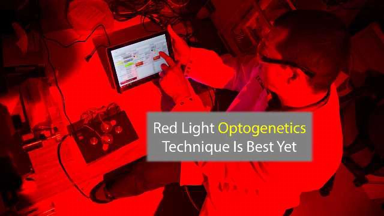 Red Light Means Go: New Optogenetic Tool is Most Efficient Yet