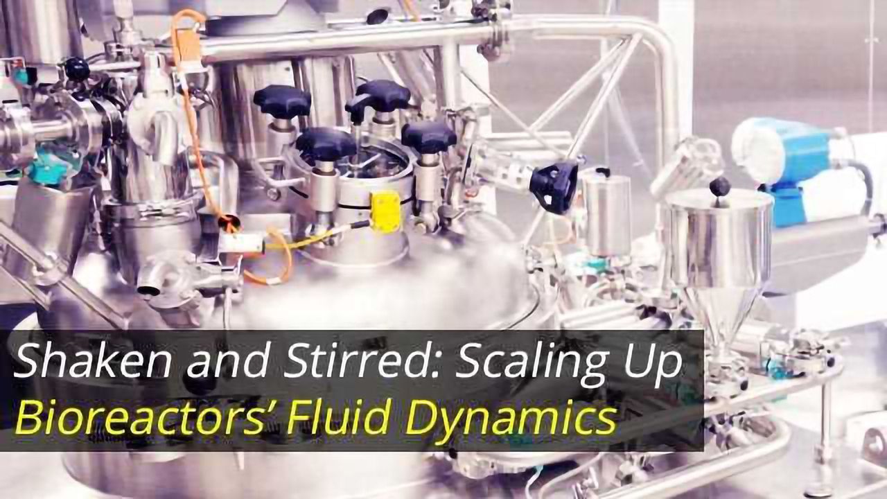 Shaken and Stirred: Scaling Up Bioreactors’ Fluid Dynamics