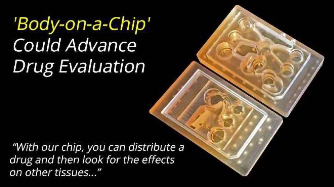 'Body-on-a-Chip' Could Advance Drug Evaluation