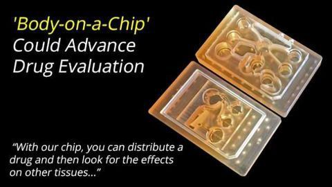 'Body-on-a-Chip' Could Advance Drug Evaluation