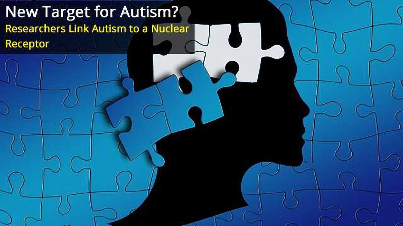 Researchers Link Defects in a Nuclear Receptor in the Brain to Autism Spectrum Disorders