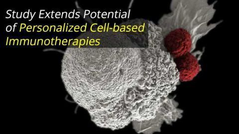 Study Extends Potential of Personalized Cell-based Immunotherapies