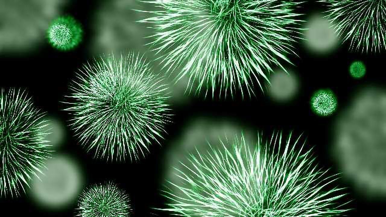 Point-of-care Diagnostic Test for UTIs to Help Tackle Antimicrobial Resistance