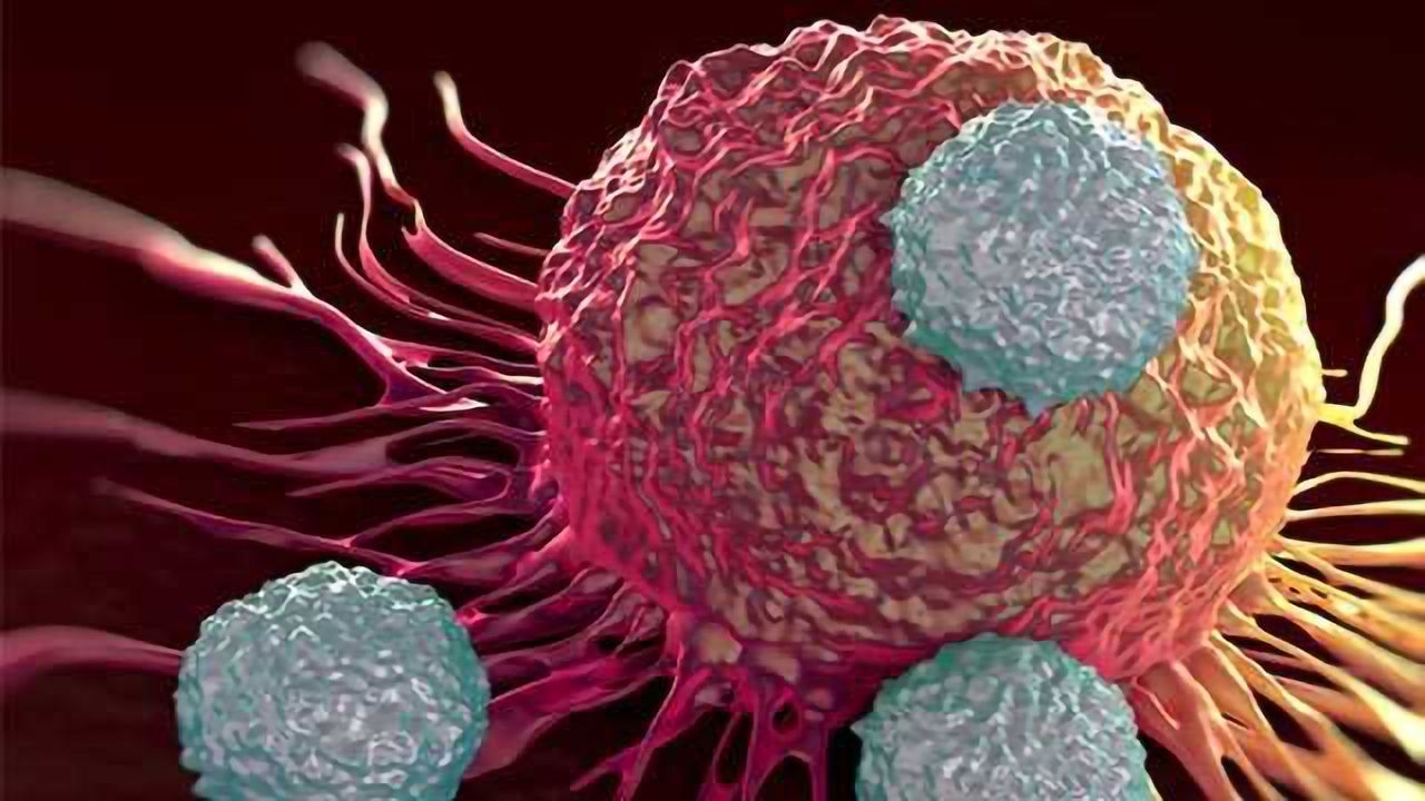 Novel Biotherapeutics for the Treatment of Cancer