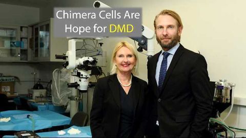 Cell Chimeras Provide Muscular Dystrophy Breakthrough