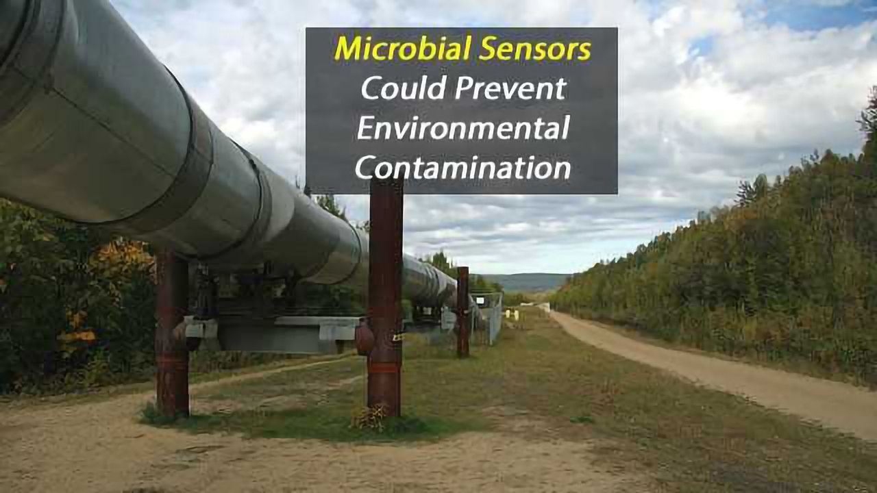 Living Sensor Can Potentially Prevent Environmental Disasters from Fuel Spills