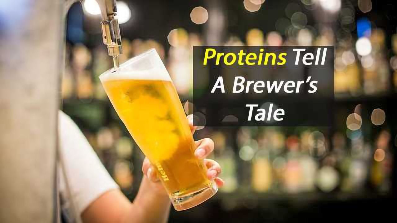 Proteins and the Perfect Pint
