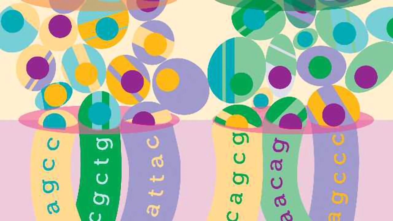 The DNA Shuffle: Barcoding Trick is Boost to RNA-Seq