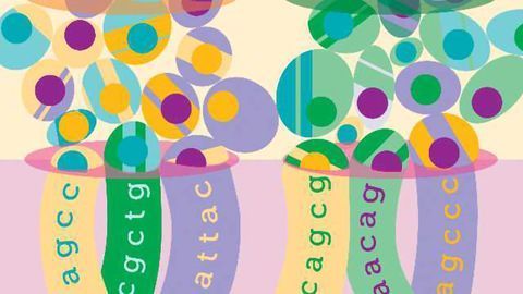 The DNA Shuffle: Barcoding Trick is Boost to RNA-Seq