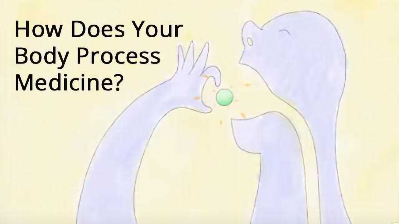 How Does Your Body Process Medicine?
