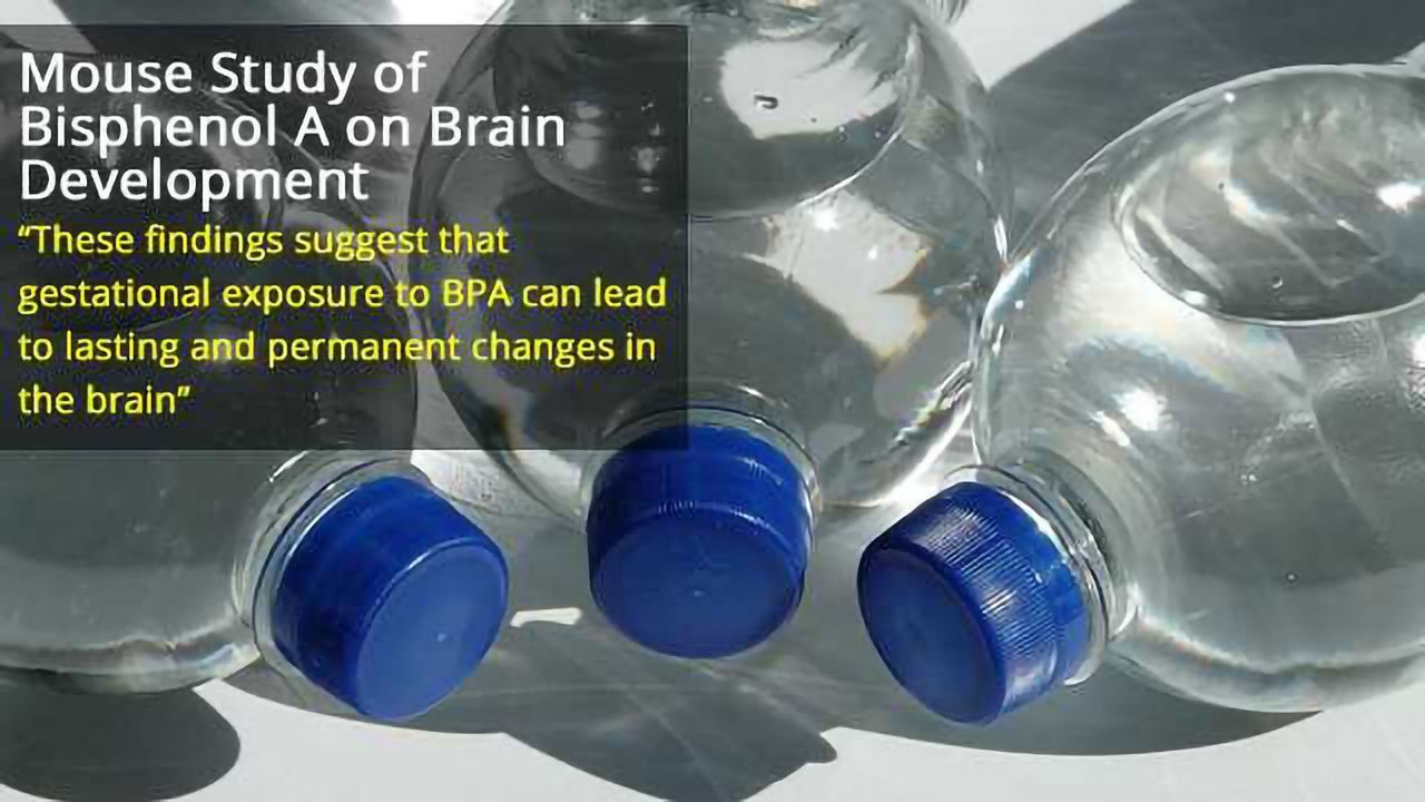 Exposure to Low Levels of BPA during Pregnancy Can Lead to Altered