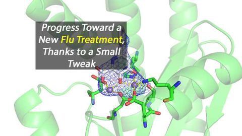 Small Tweak Makes Progress Towards Improved Flu Treatment