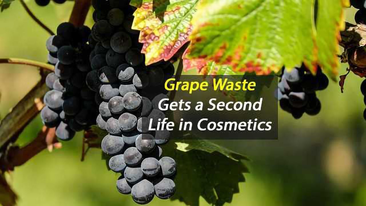 Grape Waste Goes From Landfill to Lipstick