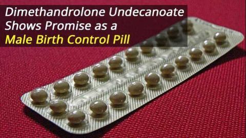A Male Birth Control Pill in Development?