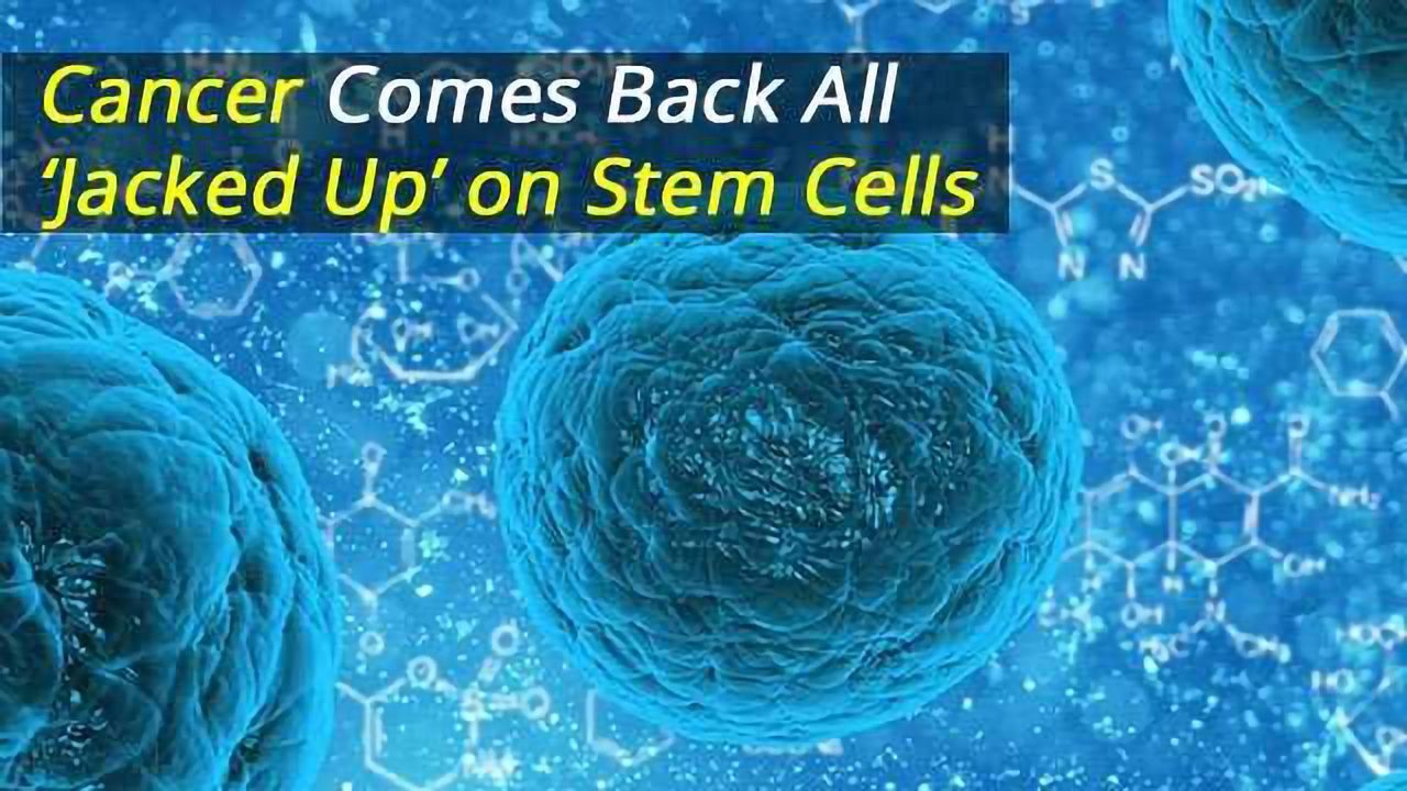 Cancer Comes Back All 'Jacked Up' on Stem Cells