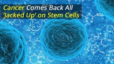 Cancer Comes Back All 'Jacked Up' on Stem Cells