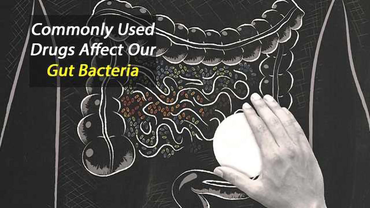 Commonly Used Drugs Affect Our Gut Bacteria