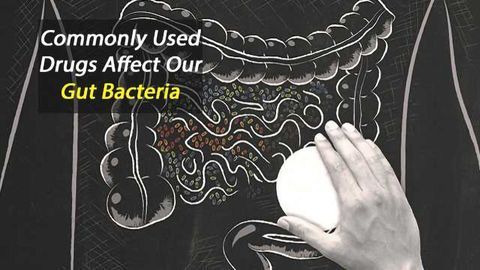 Commonly Used Drugs Affect Our Gut Bacteria