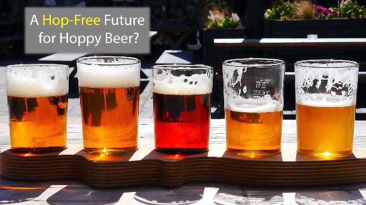 The Future of Hoppy Beer?
