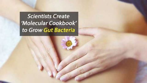 Molecular Cuisine for Gut Bacteria
