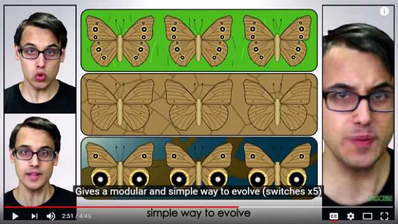Evo-Devo (Despacito Biology Parody) - A Capella Science