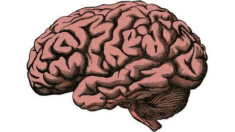 Prothena and Celgene Collaborate to Develop Novel Therapies for Patients with Neurodegenerative Diseases