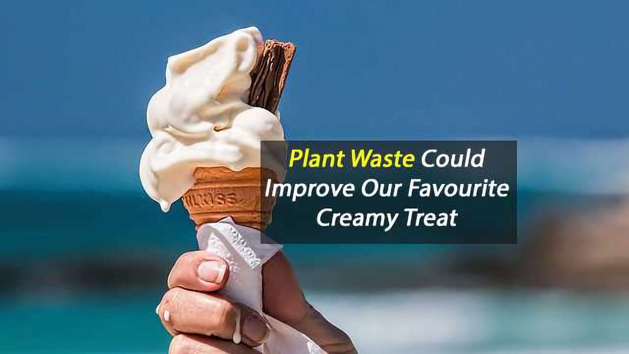 Banana Plant Waste Improves Ice Cream