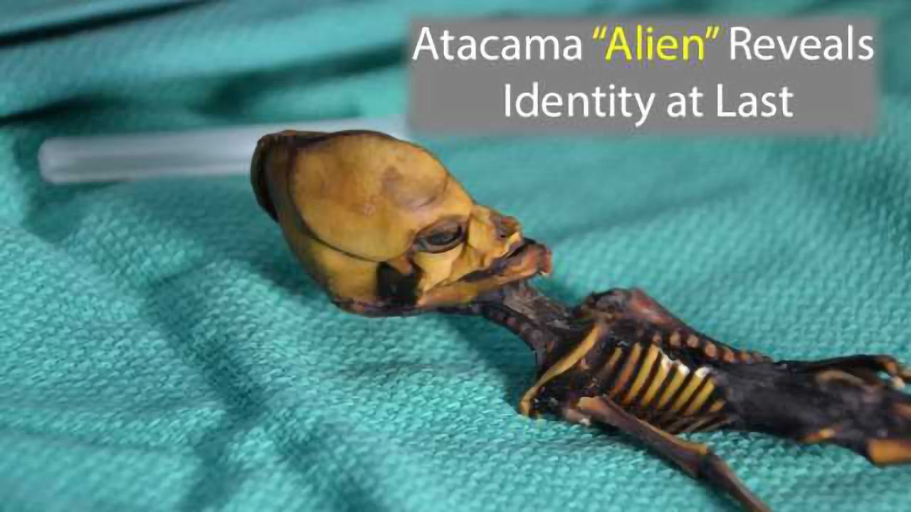Genetic Identity of Atacama "Alien" Skeleton Revealed