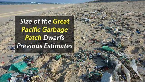 Great Pacific Garbage Patch Dwarfs Previous Size Estimates