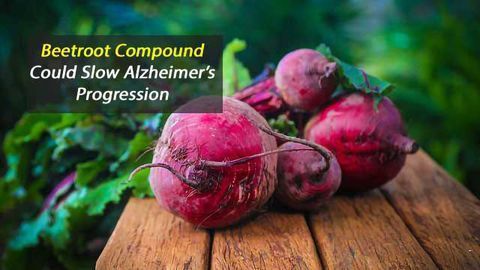 Vegetable Compound Could Have a Key Role in ‘Beeting’ Alzheimer’s Disease