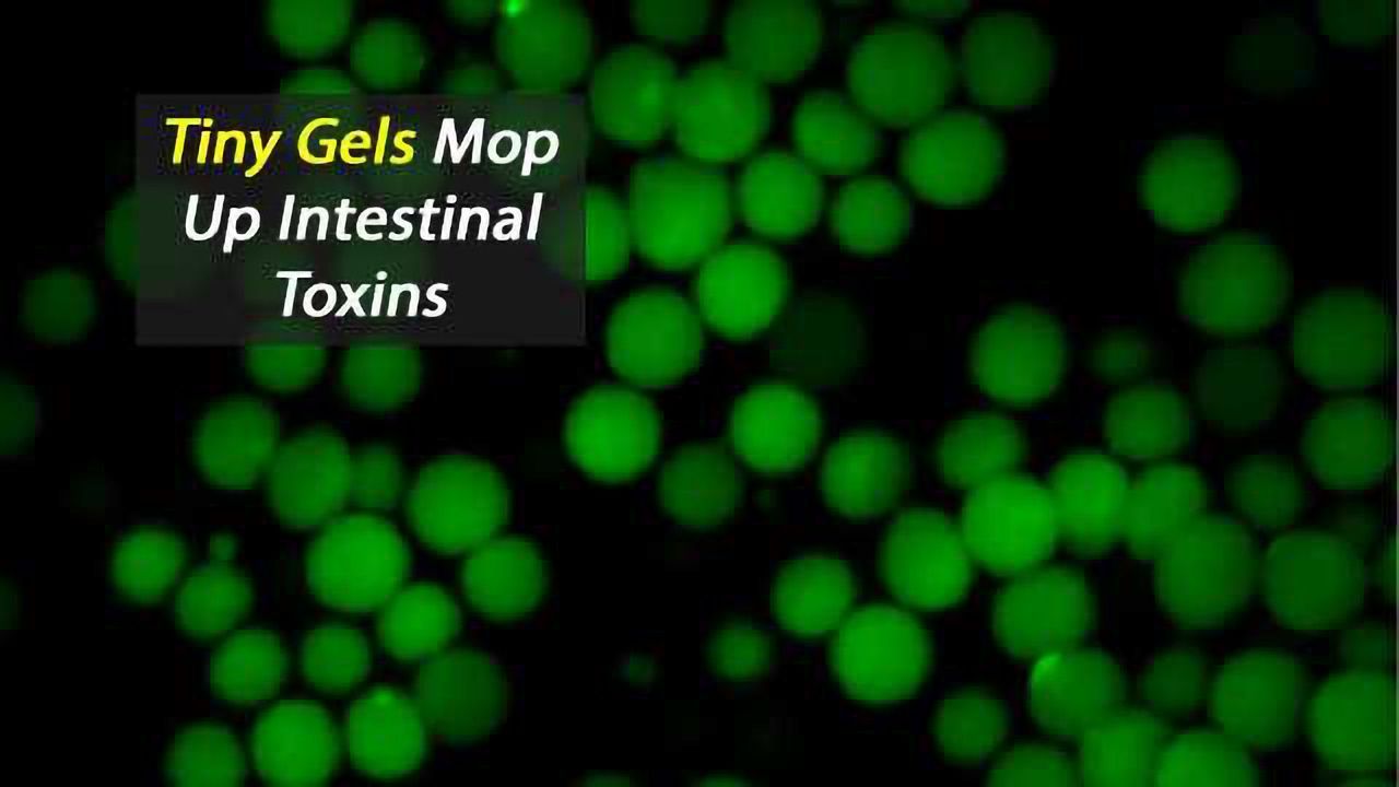 Microgel Mops Up Toxins Without Harming "Good" Bacteria